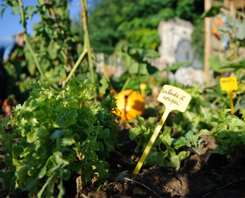 Jardinage et coins nature Ministère de l'Environnement