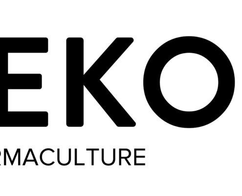 HEKO